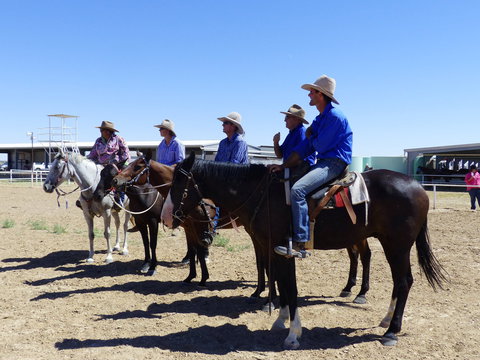 Betoota Horse And Motorbike Gymkhana - Accommodation in Brisbane 1