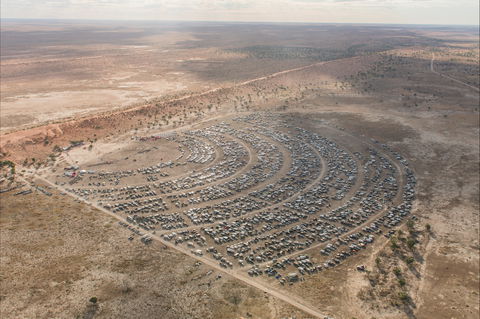 Birdsville Big Red Bash - Accommodation in Brisbane 1
