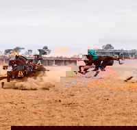 Birdsville Campdraft  Rodeo and Bronco Branding - Accommodation in Brisbane