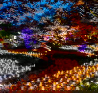 Canberra Nara Candle Festival - Accommodation in Brisbane