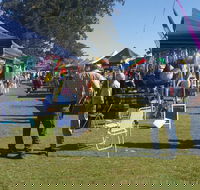 Casino Golf Club Markets - Accommodation in Brisbane