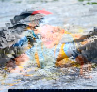 Cave Hill Creek Summer Camp - Accommodation in Brisbane