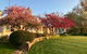 Crookwell Garden Festival - thumb 2