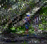 Elephant Trail Race - Accommodation in Brisbane