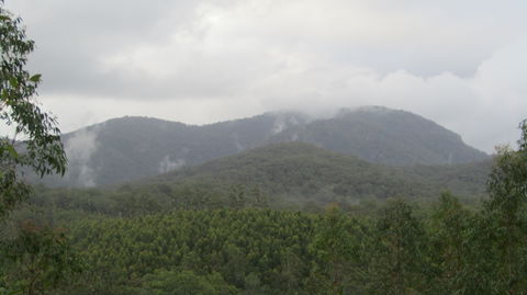 Elephant Trail Race - Accommodation in Brisbane 2