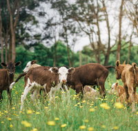 Farmgate Festival - Accommodation in Brisbane