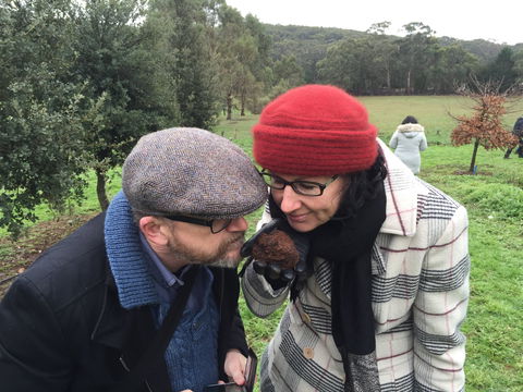 Feast And Forage - Craig's Royal Hotel - Accommodation in Brisbane 1