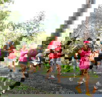 Gladstone Weekly Parkrun - Accommodation in Brisbane