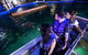 Glass Bottom Boat Tour - thumb 0
