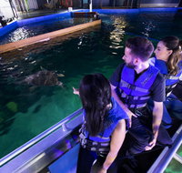 Glass Bottom Boat Tour - Accommodation in Brisbane
