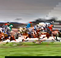 Grafton July Racing Carnival - Accommodation in Brisbane