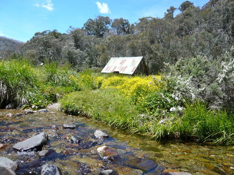 Hedonistic Hiking's Falls Creek To Hotham - Accommodation in Brisbane 0
