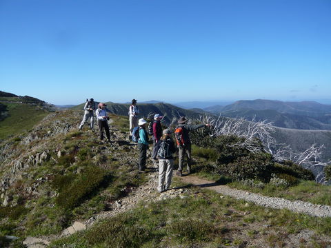 Hedonistic Hiking's Falls Creek To Hotham - Accommodation in Brisbane 1