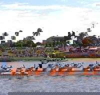 Jacaranda Dragon Boat Races - Accommodation in Brisbane