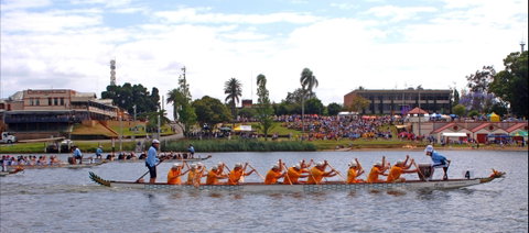 Jacaranda Dragon Boat Races - Accommodation in Brisbane 0