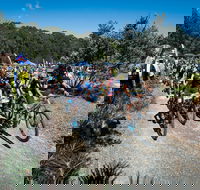 JetBlack Wild Wombat MTB Challenge - Accommodation in Brisbane