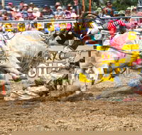 Jindabyne's Man From Snowy River Rodeo - Accommodation in Brisbane