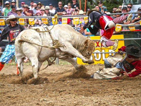 Jindabyne's Man From Snowy River Rodeo - Accommodation in Brisbane 0