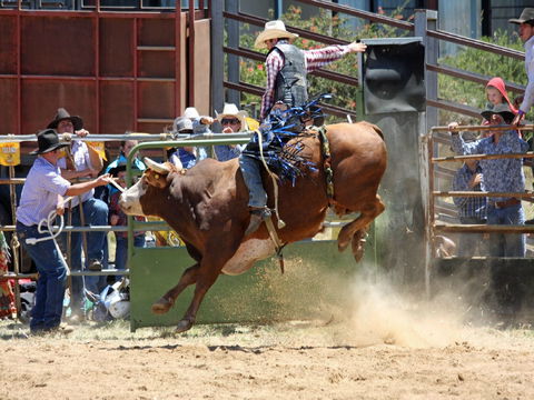 Jindabyne's Man From Snowy River Rodeo - Accommodation in Brisbane 2