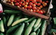 Lawrence Farmers And Community Markets - thumb 0