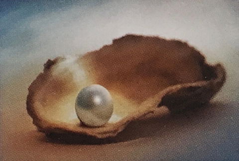 Lecture Cancelled:  ADFAS  Lecture (Half-Day) - Patricia Law Speaking On Pearls And Diamonds - Accommodation in Brisbane 0
