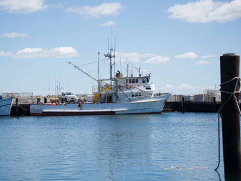 Love Sea Food Port Stephens - Accommodation in Brisbane 1