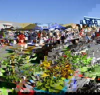 Maclean Community Monthly Markets - Accommodation in Brisbane
