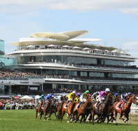 Melbourne Cup Carnival - Accommodation in Brisbane