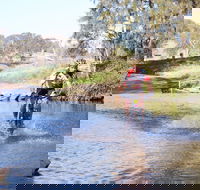 Mountain Man Tri Challenge - Accommodation in Brisbane