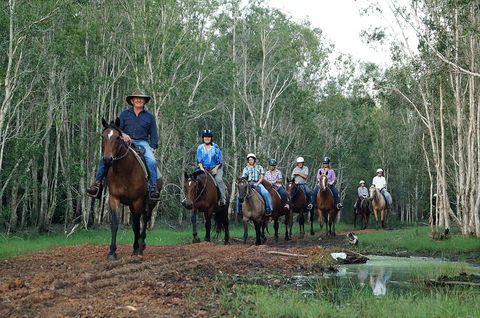 Night Horse Ride And Dinner - Accommodation in Brisbane 0