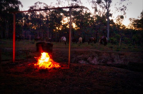 Night Horse Ride And Dinner - Accommodation in Brisbane 2