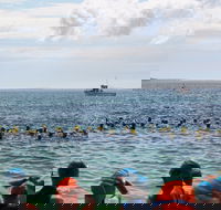 Nowra Toyota triHusky Huskisson Triathlon Festival Little Husky - Accommodation in Brisbane