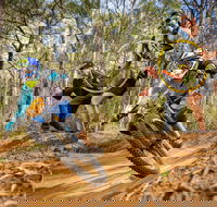 NSW State Downhill Mountain Bike Championships - Accommodation in Brisbane