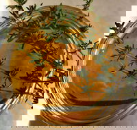 Online live streaming class DIY Skincare Products - Accommodation in Brisbane