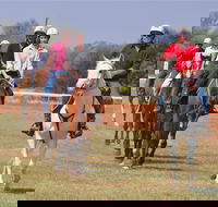 Pride of the West Races 2020 - Accommodation in Brisbane