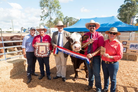 Primex Field Days - Accommodation in Brisbane 0