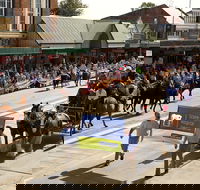 Scone Horse Festival - Accommodation in Brisbane