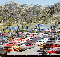 Spring Cruiz In - Accommodation in Brisbane