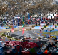 Supercars Supercheap Auto Bathurst 1000 - Accommodation in Brisbane