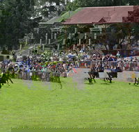 Tumut Derby Day - Accommodation in Brisbane