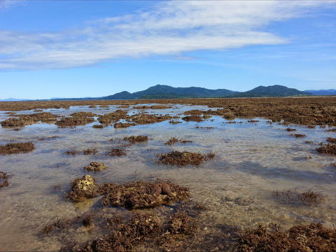 Walk To The Reef - Accommodation in Brisbane 0