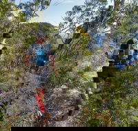 Wild Earth Coastal High 50 - Accommodation in Brisbane