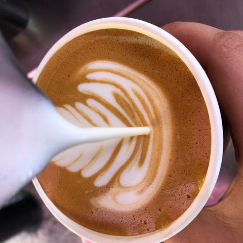 Yamba Farmers And Producers Market - Accommodation in Brisbane 2