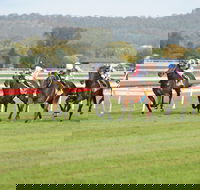 Aggies Race Day - Accommodation in Brisbane