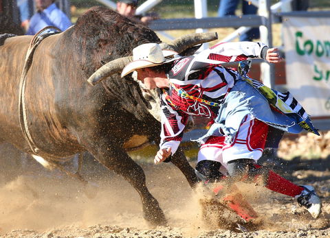 AgriWest Cooma Rodeo - Accommodation in Brisbane 2