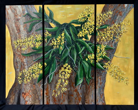 A Still Life - Solo Exhibition  Karen Sedaitis - Accommodation in Brisbane 1