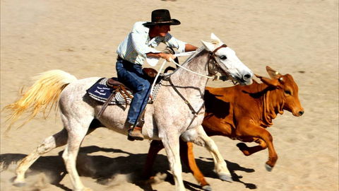 Bedourie Campdraft, Rodeo, Gymkhana - Accommodation in Brisbane 0