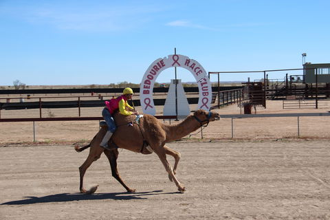 Bedourie Camel And Pig Races And Camp Oven Cook-off - Accommodation in Brisbane 0