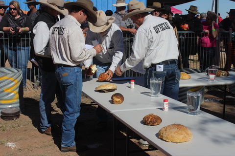 Bedourie Camel And Pig Races And Camp Oven Cook-off - Accommodation in Brisbane 2