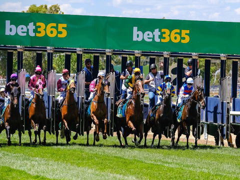 Bet 365 Caulfield Cup Day At Wodonga Race Course - Accommodation in Brisbane 1